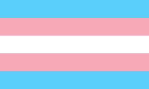 Trans flag for Trans Day of Resilience